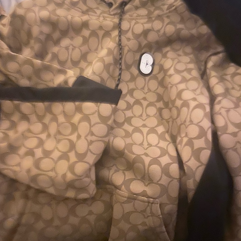 Coach Hoodie, Coach Polo, Jordan Flights, Jordan 10s, Puma, Coach Tennis Shoes - Picture 10 of 12